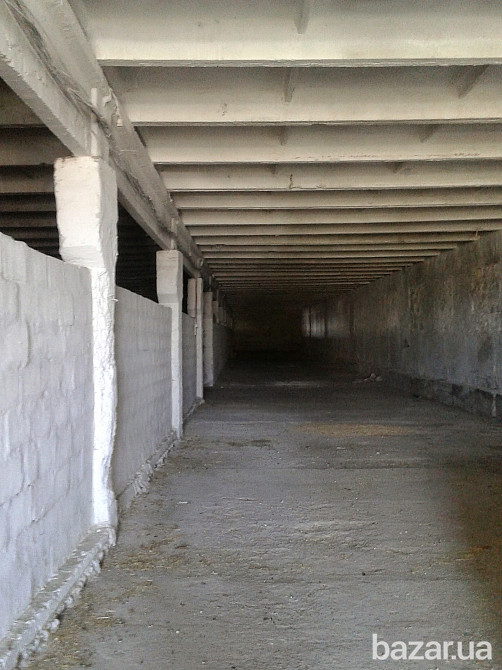 Предлагаю купить комплекс помещений сельскохозяйственного назначения. Дніпро - зображення 11