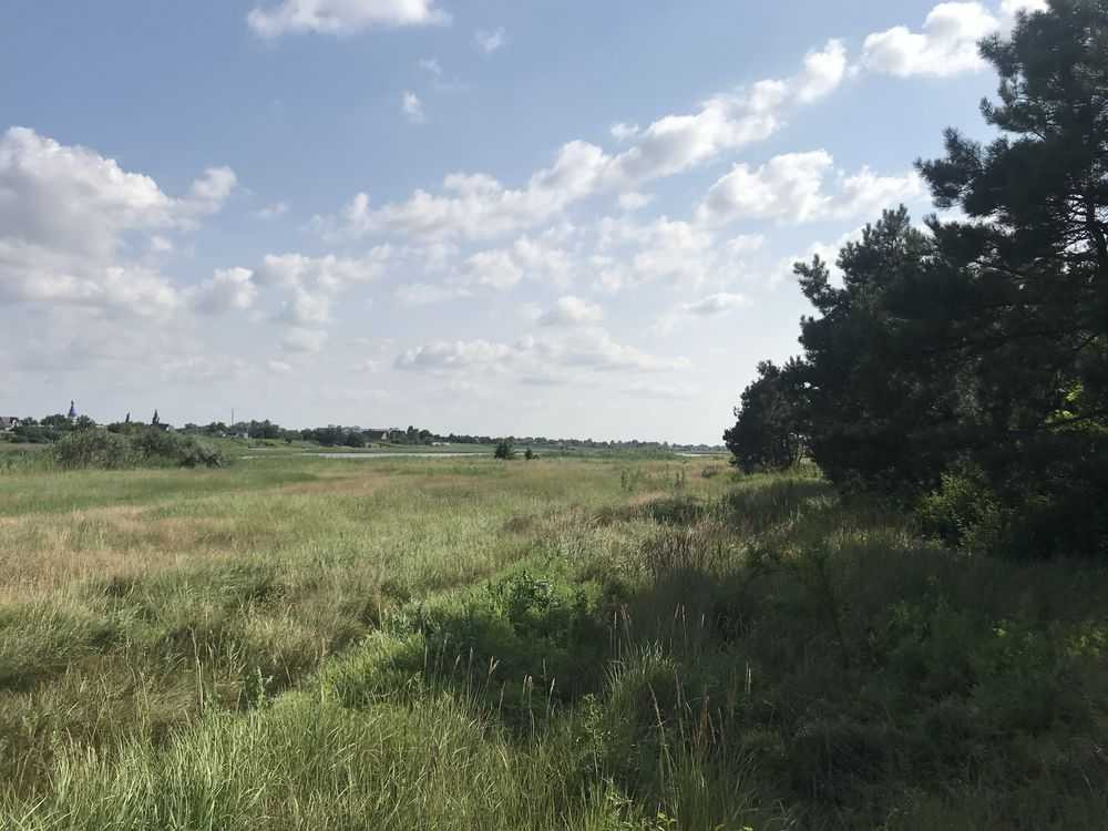 продажа участок под жилую застройку Новомосковский, Песчанка, 10000 $  - изображение 8