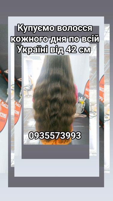 Продать волосы, продати волосся дорого по всій Україні від 42 см -0935573993 Київ - зображення 1