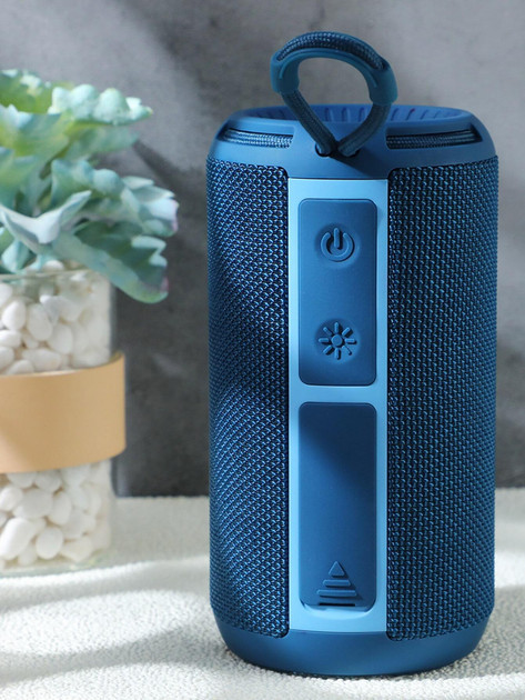 Колонка портативная Bluetooth T&G TG656 blue синяя Київ - зображення 2