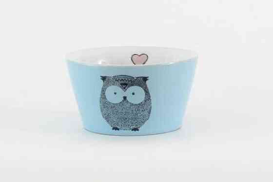 Салатник Limited Edition Owl Funny HTK-016 480 мл синій Київ