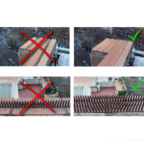 Шипы от птиц и животных черные 50х3 см Одеса - зображення 2