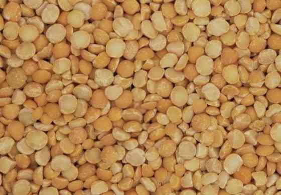 Купую сою (половинки), відходи кукурудзи Полтава