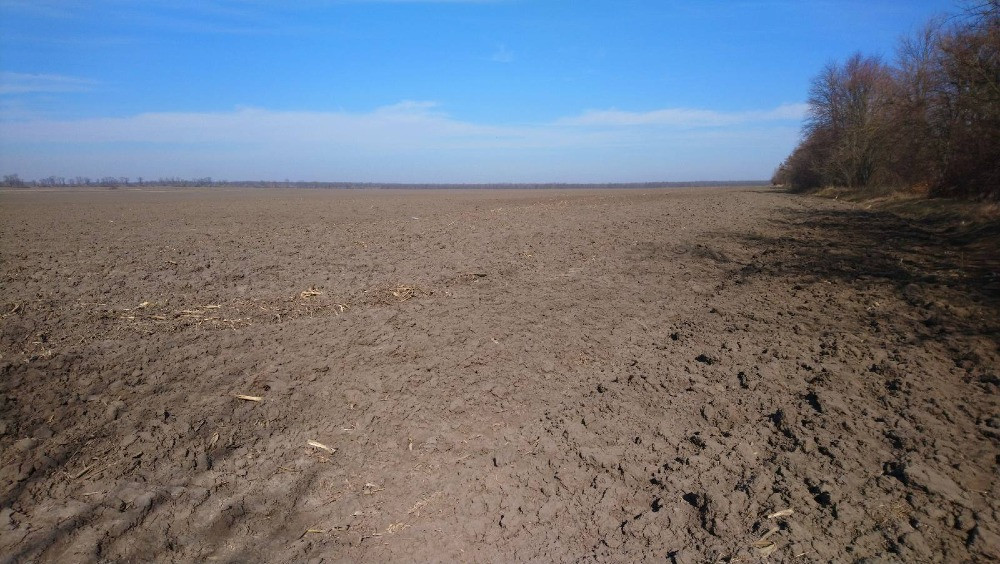 Пропонуємо на продаж фасадну земельну ділянку площею 4,1 га (пай) Біла Церква - зображення 6