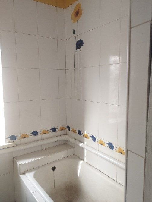 Продам дом район Левобережного -3 ул. Рылеева Днепр - изображение 9