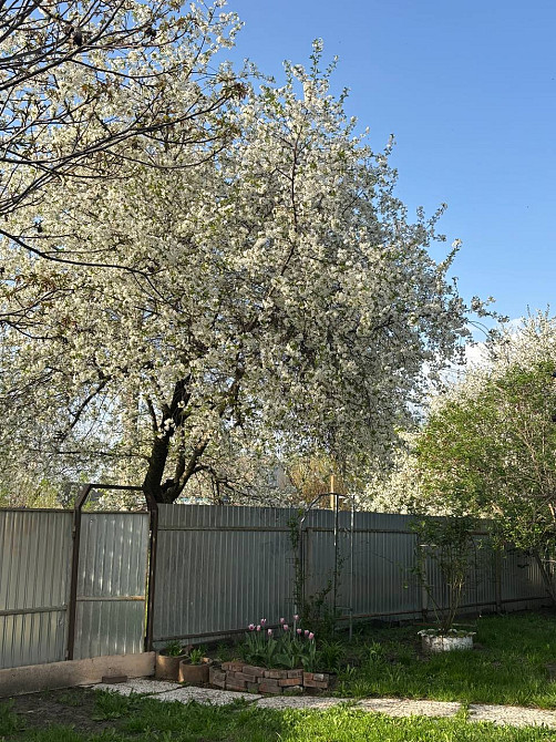 Затишний будинок для постійного проживання Носовка - изображение 2