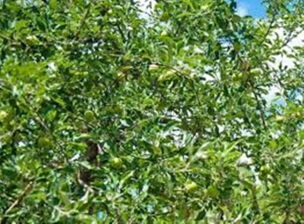 БЕЗ КОМІСІЇ Продаж земельної ділянки у Подільському р-н 33 сот. з комунікаціями код 264759 Киев - изображение 2