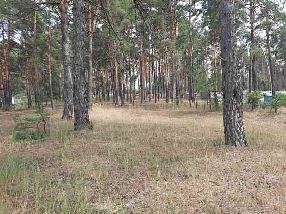 Ми пропонуємо чудову ділянку біля лісу в с. Нижча Дубечня 🌲 Вышгород