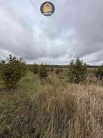 продажа земля сельскохозяйственного назначения Вышгородский, Ровы, 28000 $ 