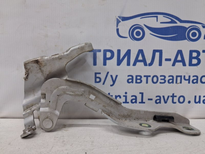 Петля капота правая Kia Ceed ED 1.6 DIESEL D4FB 2006 (б/у) Киев - изображение 1