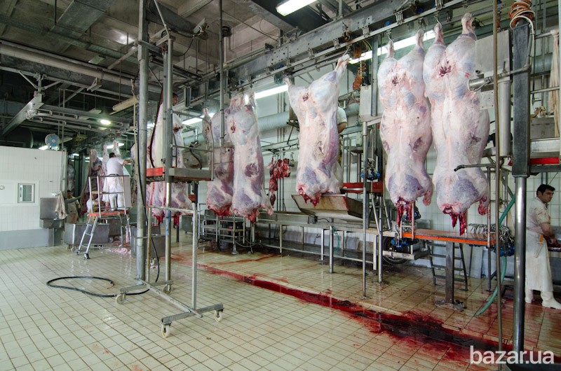 Мини-мясокомбинат для забоя и охлаждения полутуш Львів - зображення 2