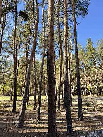 продажа участок под жилую застройку Новомосковский, Песчанка, 19950 $ 