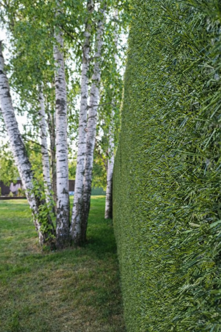 Сітка для огорожі,Зелена ізгородь,штучна ізгородь Киев - изображение 1