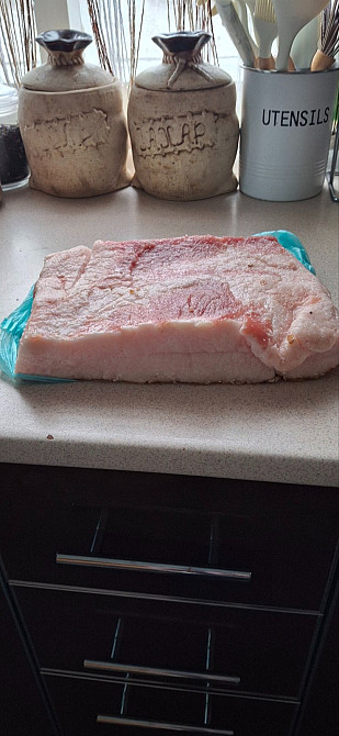 Продам м'ясо, сало свиней Кролевец - изображение 1