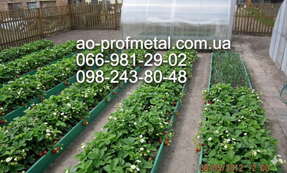 Грядка сучасна металева. Киев - изображение 3