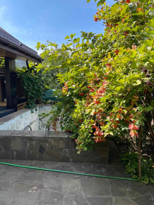 Продам уютную дачу на р. Днепр пос.Диброва. Дніпро - зображення 8