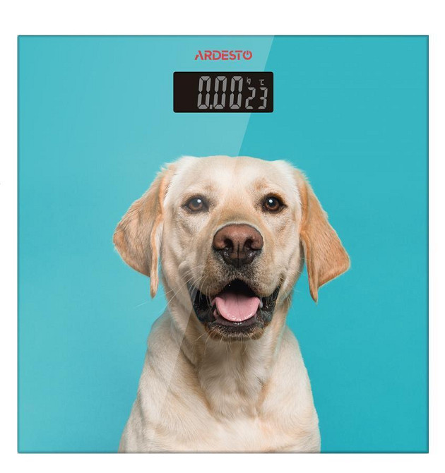 Весы напольные электронные Ardesto Dog SСB-965-dog 150 кг Київ - зображення 1
