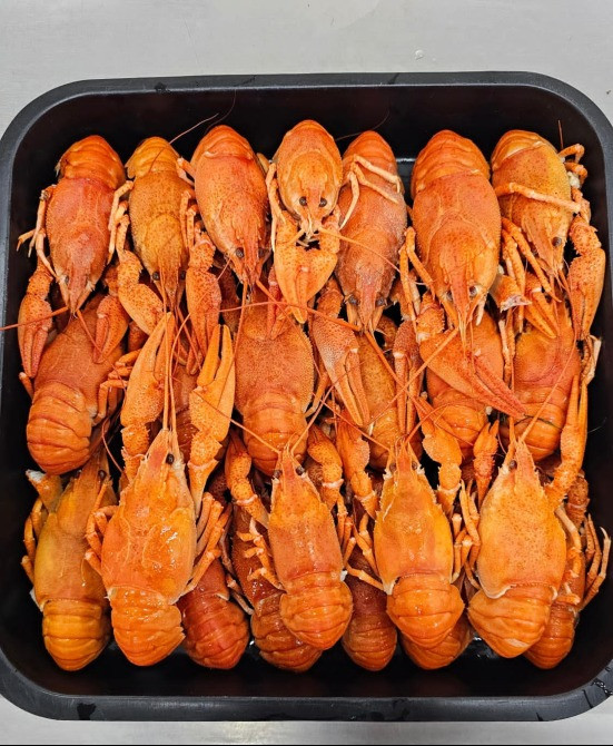 Продам варено мороженого рака Одеса - зображення 3