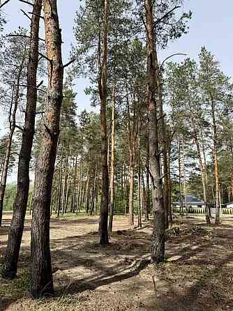 продажа участок под жилую застройку Новомосковский, Песчанка, 25000 $ 