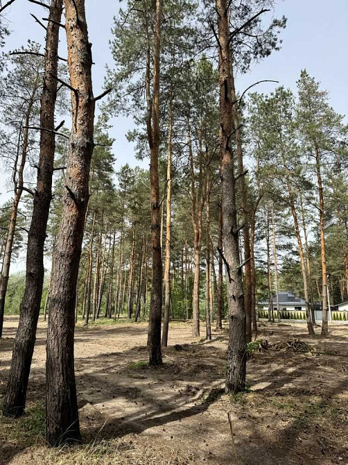 продажа участок под жилую застройку Новомосковский, Песчанка, 25000 $  - изображение 6