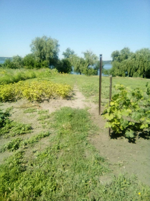 Продам будинок на березі Дніпра Дніпро - зображення 3