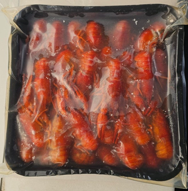 Продам варено мороженого рака Одеса - зображення 5