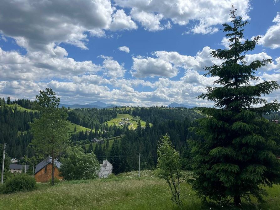Земельна ділянка в Яблуниці (Буковель) 0.10 га Яремче - зображення 10