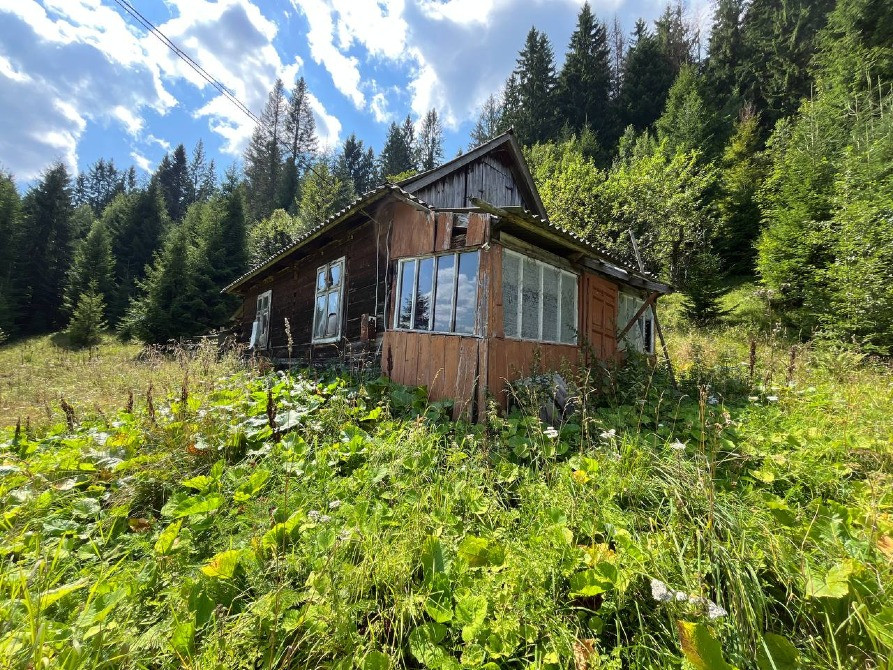 Земельна ділянка в Татарові біля водоспаду Гук 0.25 га Яремче - зображення 4