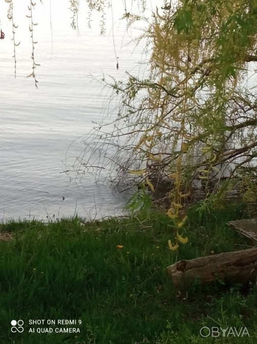 Будинок з власним берегом Дніпра Дніпро - зображення 8