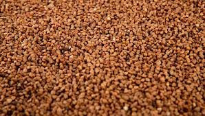 Гречка (гречиха) Хмельницький - зображення 1