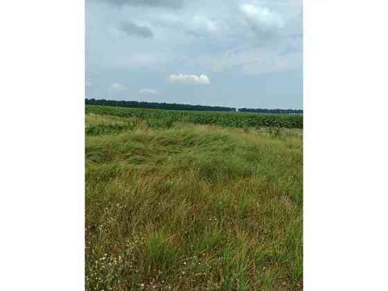 продажа земля сельскохозяйственного назначения Бородянский, Лубянка, 11893757 грн. 