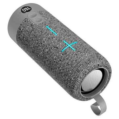 Колонка портативная Bluetooth T&G TG619 grey серая Київ