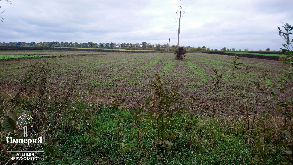 Продам дом в селе Лубянка.Участок 46 соток. Біла Церква - зображення 3