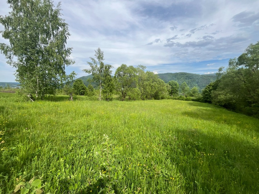 Земельна ділянка 0.18 га в Яремче Яремче - изображение 12