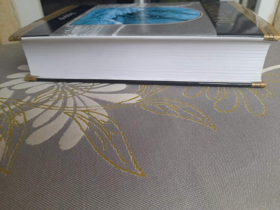 Дэн Симмонс Террор Шедевры фантастики Запоріжжя - зображення 10