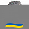 275/45 R21 Altenzo Sports Navigator 110Y Легкова шина Киев