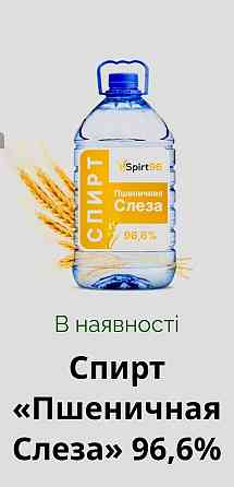 Спирт етиловий Київ