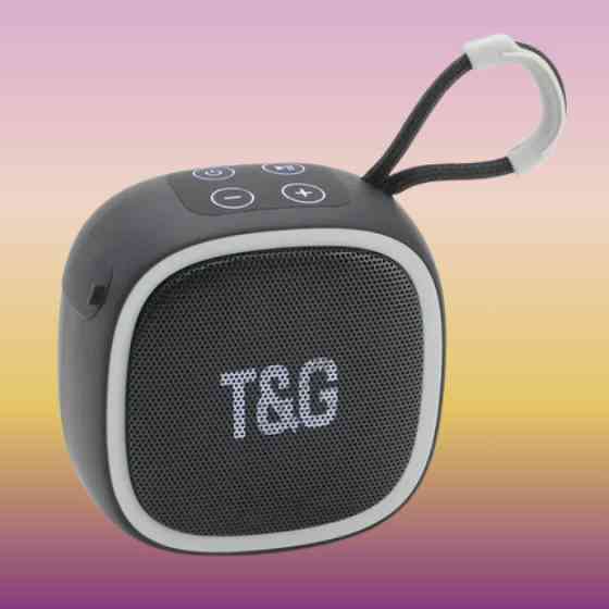 Колонка портативная Bluetooth T&G TG659 black черная Київ