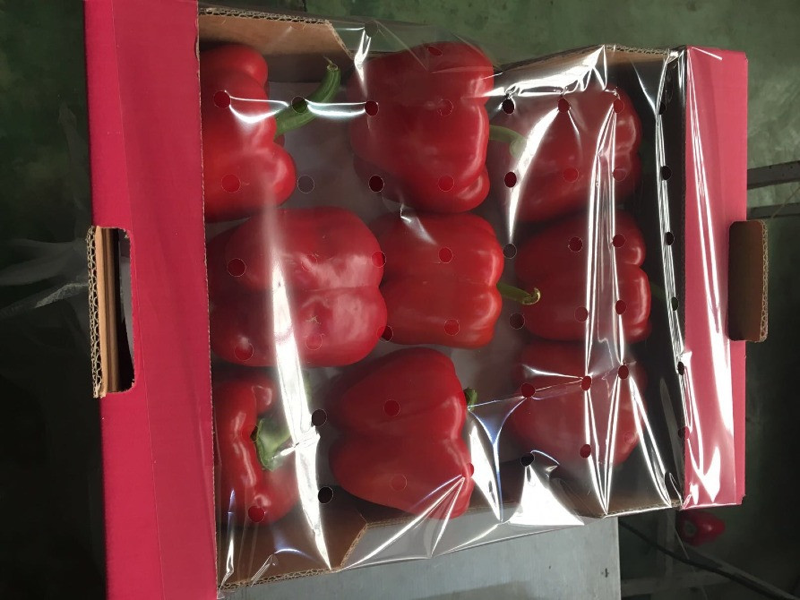 Продаем перенц Київ - зображення 11