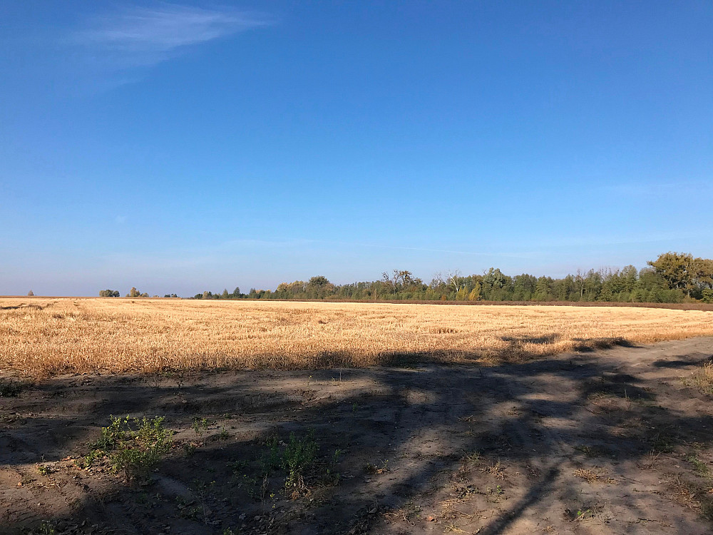 БЕЗ% продам участок 9.07 гектарів с. Мотижин, Ясногородка, Фастівський (Макарівський) район, 35 км Макаров - изображение 4