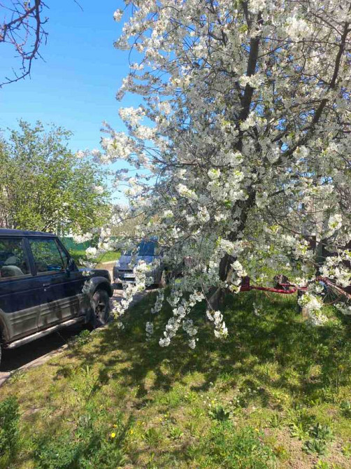 продажа 4-к дом Брусиловский, Брусилов, 36999 $  - зображення 11