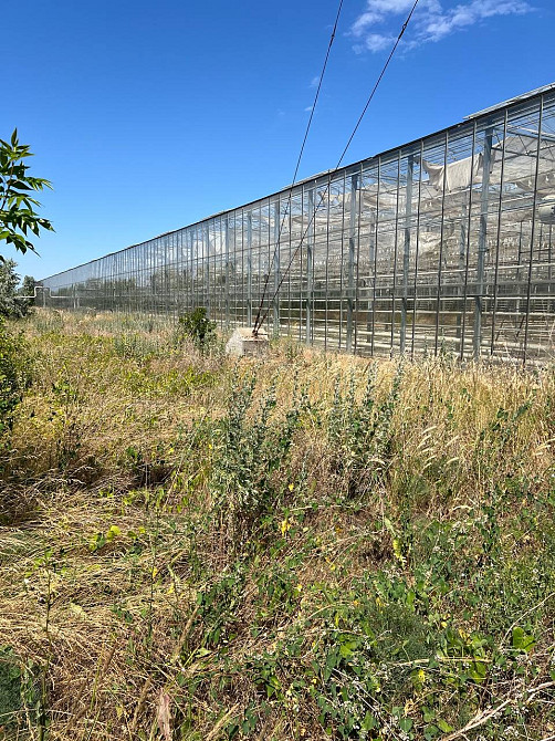 Готовий тепличний бізнес Київський район Одеса! Інвестиційний обєкт в Україні Одесса - изображение 1