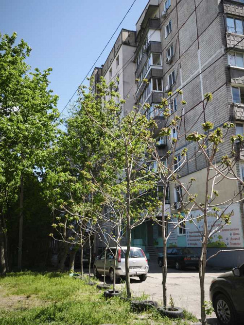 продажа 2-к квартира Днепр, Новокодакский, 57000 $ Дніпро - зображення 3