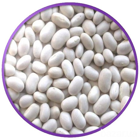 Продам фасоль в любые объемы. От 5 т Київ - зображення 1