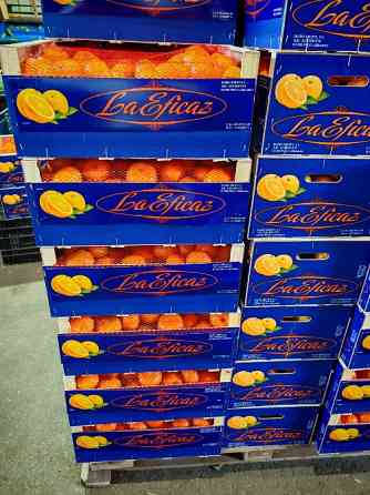 Продаем мандарины Киев