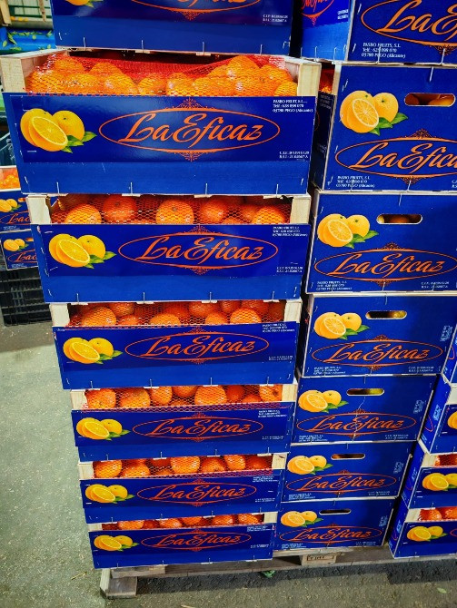 Продаем мандарины Киев - изображение 5