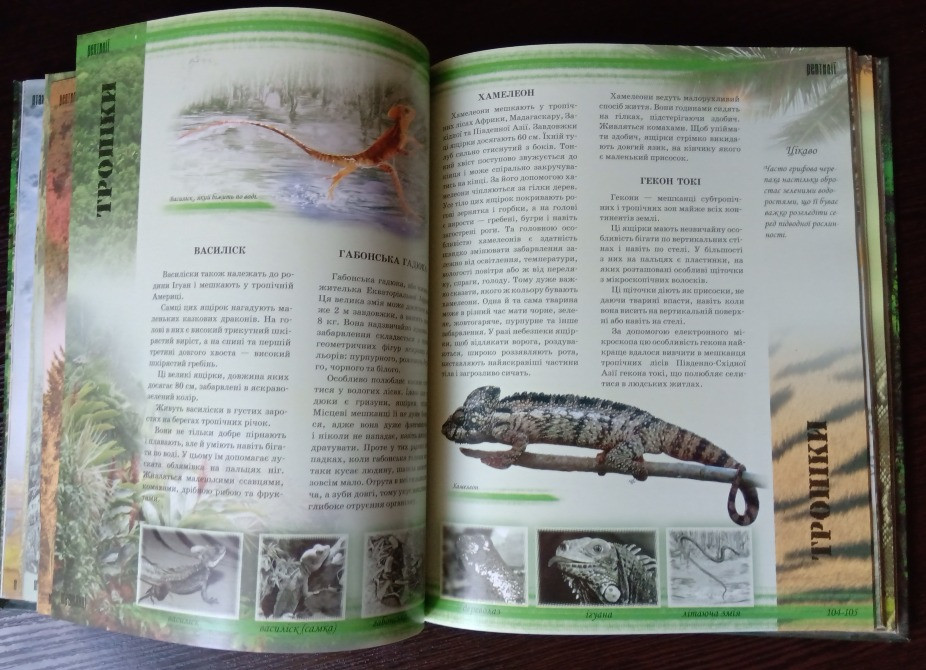 Книга Світ тварин. Львов - изображение 7