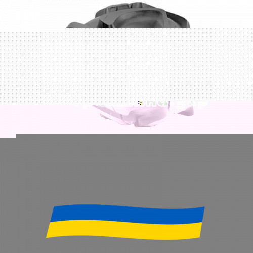 20/8 R10 Kenda K378 65A4 Сільгосп шина Київ - зображення 1