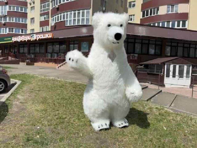 Ведмідь костюм Київ - зображення 3