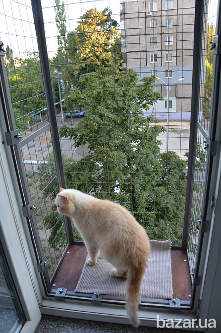 Балкон для выгула кошек, по почте. "Броневик" Днепр. Дніпро - зображення 4